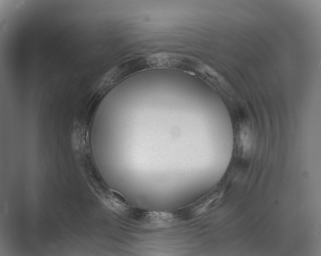 X0000074000429200609181813