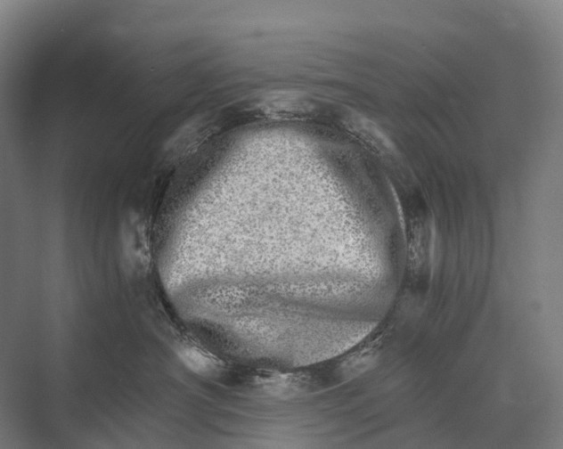 X0000074000430200609181813