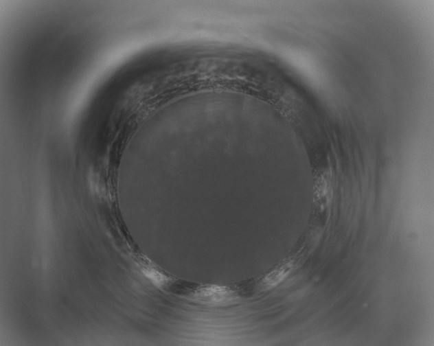 X0000074000431200609181813