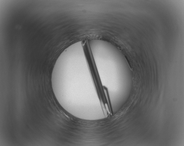 X0000074000432200609181813