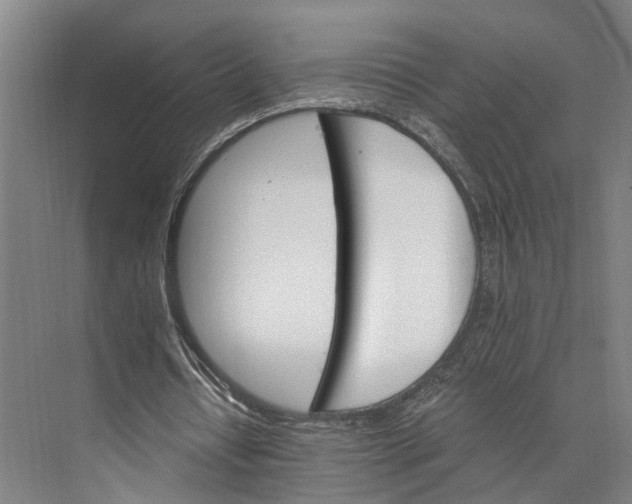 X0000074000434200609181812