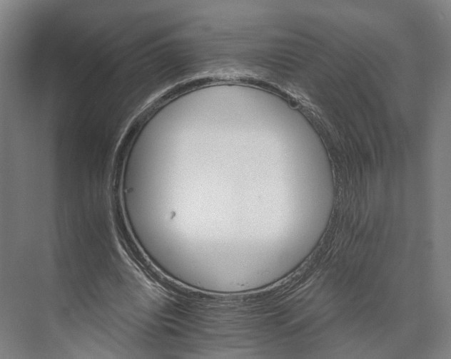 X0000074000440200609181812