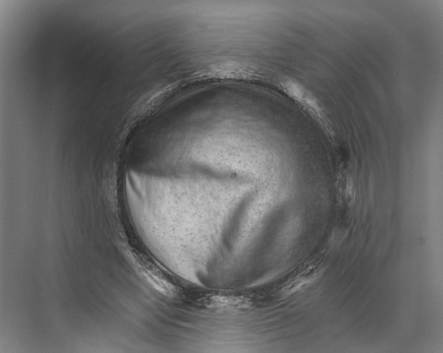 X0000074000442200609181812