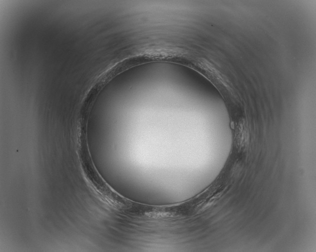 X0000074000448200609181812