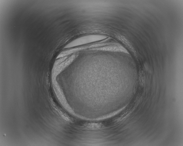 X0000074000449200609181812