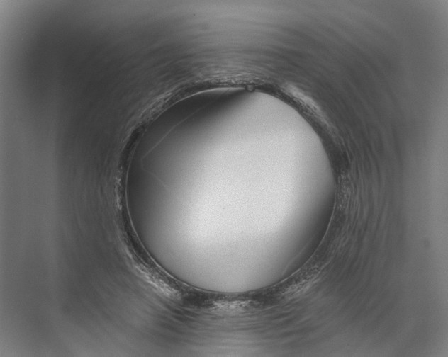 X0000074000450200609181812