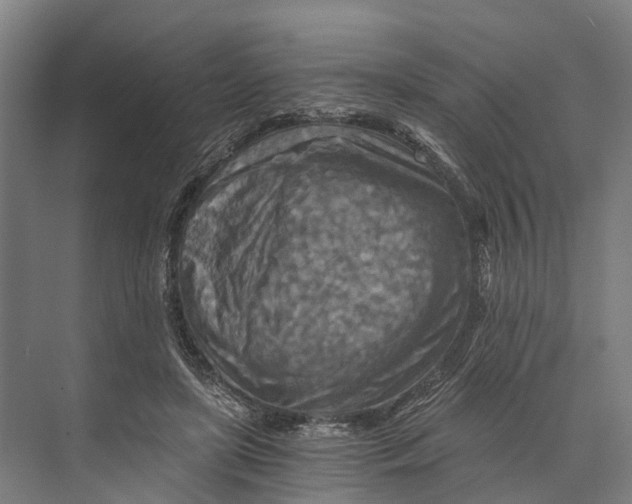 X0000074000451200609181812