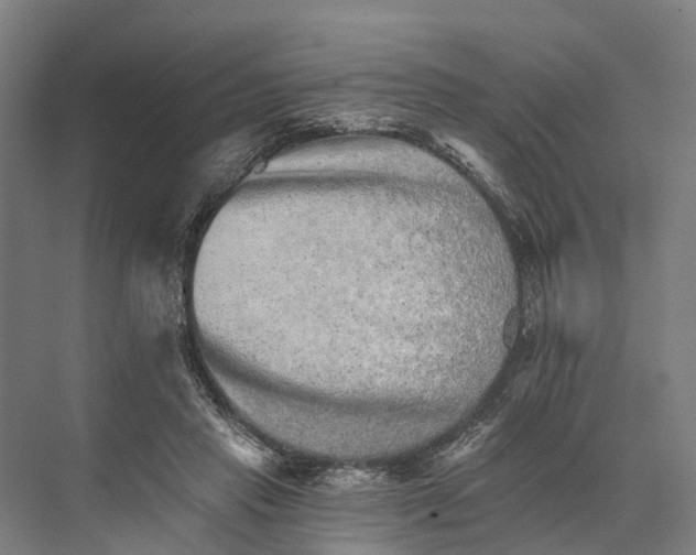 X0000074000453200609181812