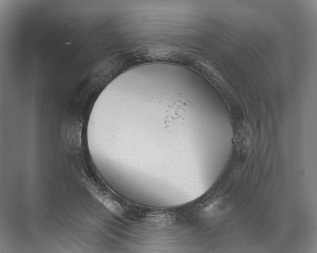 X0000074000454200609181812