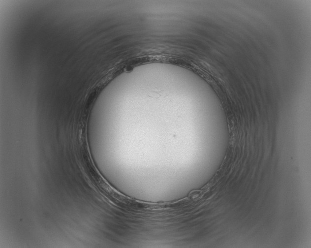 X0000074000456200609181812