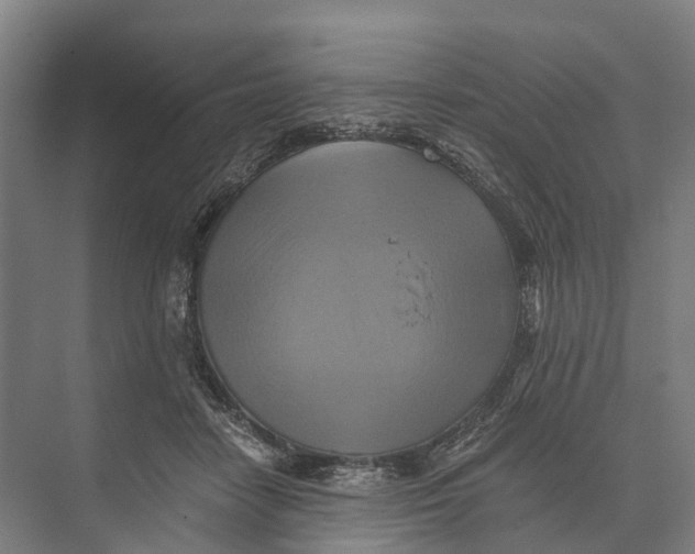 X0000074000458200609181813