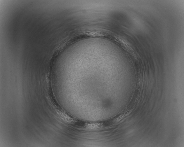 X0000074000461200609181813