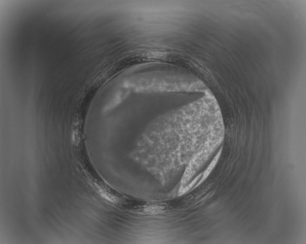 X0000074000462200609181813