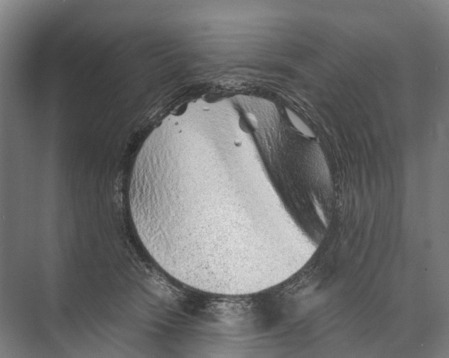 X0000074000466200609181813