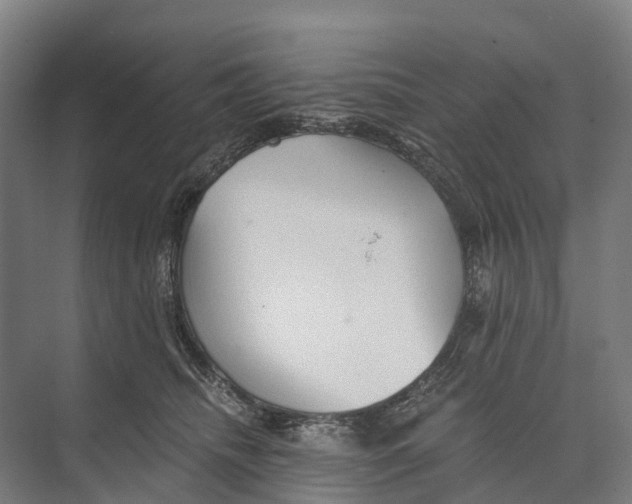 X0000074000468200609181813