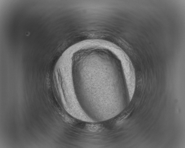 X0000074000469200609181813