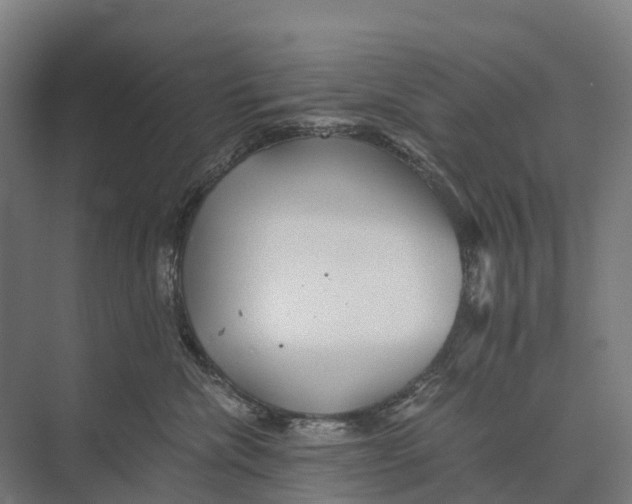 X0000074000476200609181813