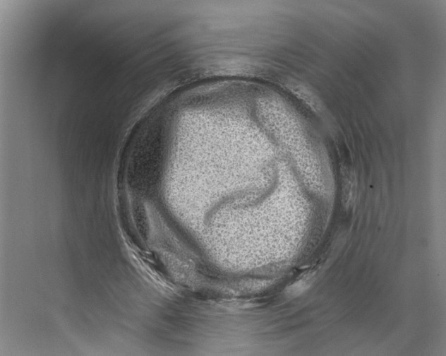 X0000074000482200609181812