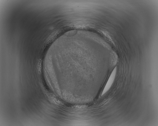 X0000074000495200609181812