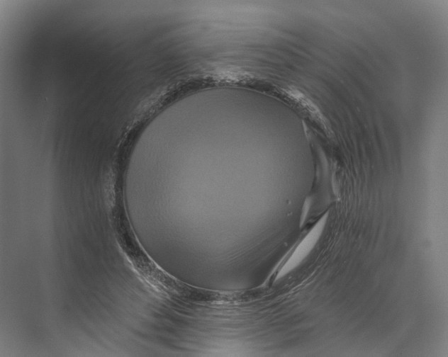 X0000074000496200609181812