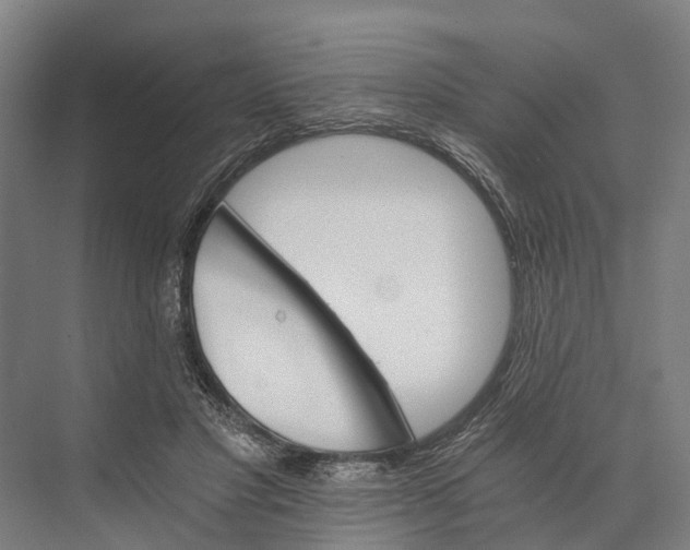 X0000074000501200609181812