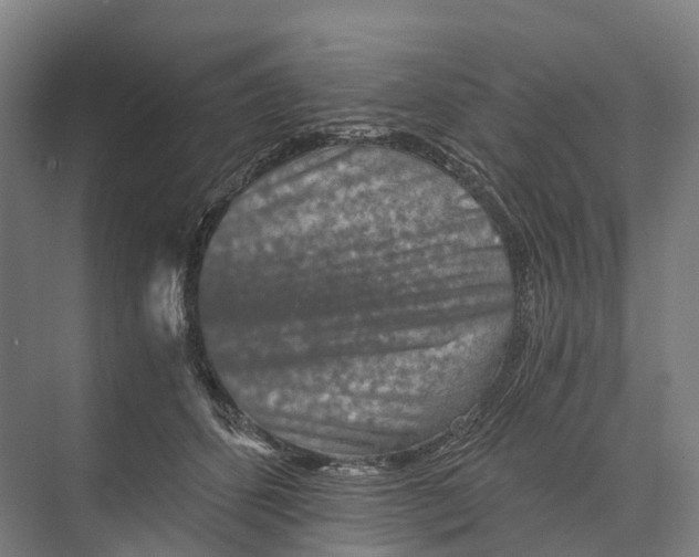 X0000074000512200609181812