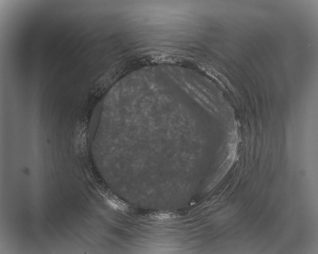 X0000074000513200609181812