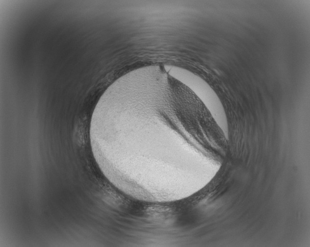 X0000074000515200609181812