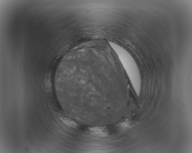 X0000074000516200609181811