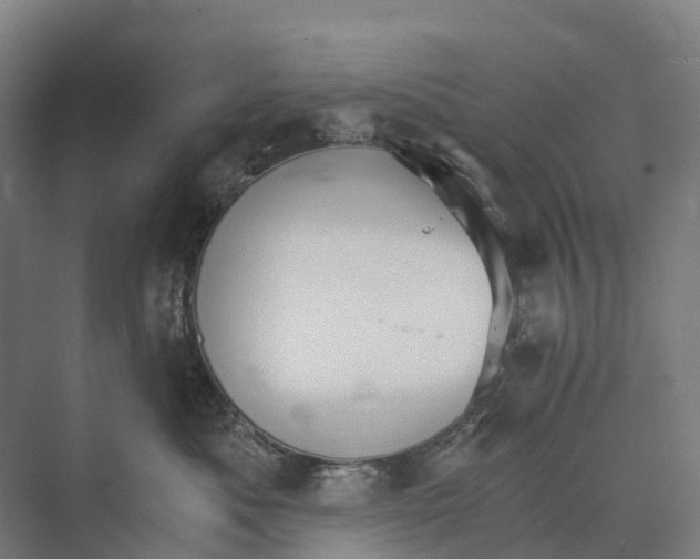 X0000074000525200609181811