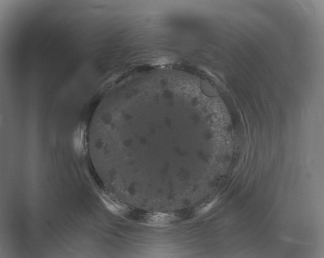 X0000074000527200609181811