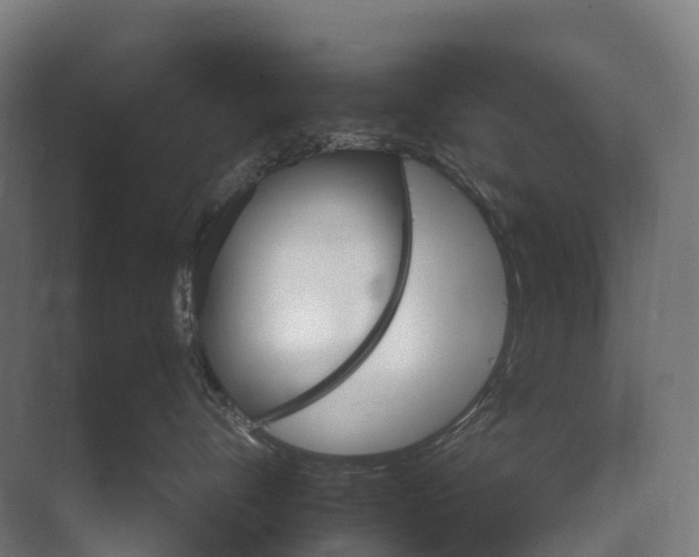 X0000074000528200609181811