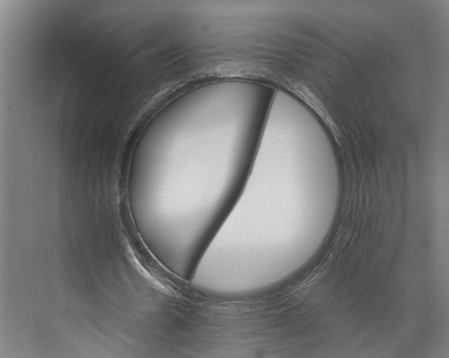 X0000074000530200609181810