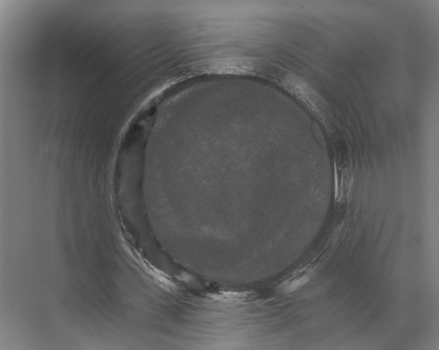 X0000074000531200609181811