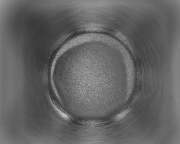 X0000074000533200609181811