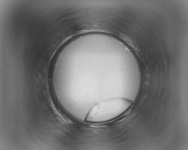 X0000074000534200609181811