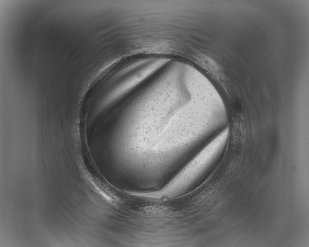 X0000074000535200609181811