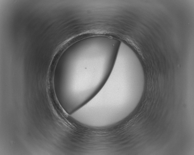 X0000074000536200609181811