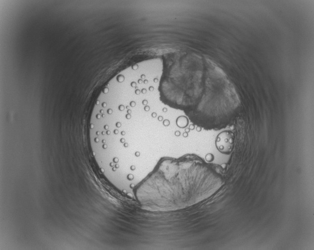 X0000074000537200609181811