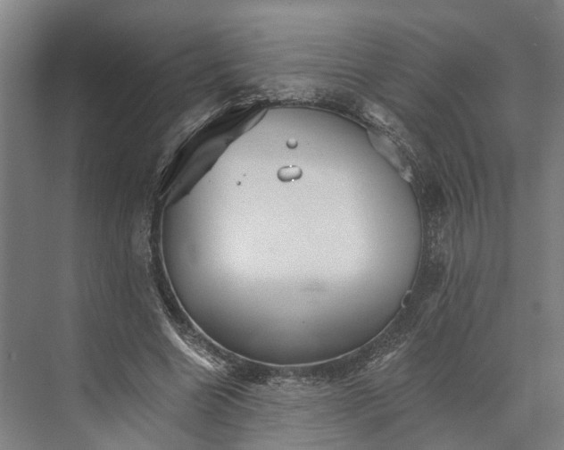 X0000074000538200609181811