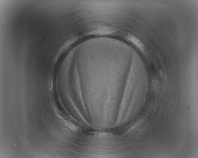 X0000074000539200609181811