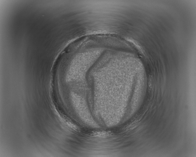 X0000074000540200609181811