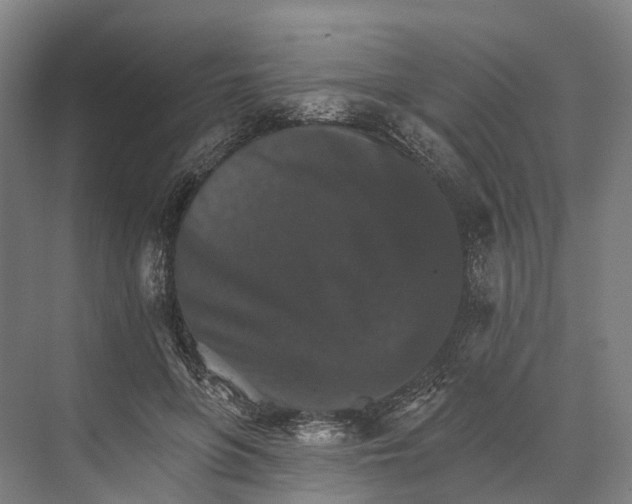 X0000074000551200609181811