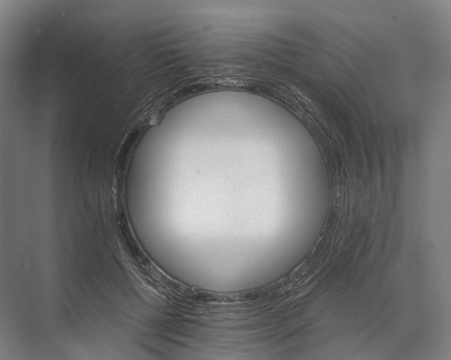 X0000074000552200609181811