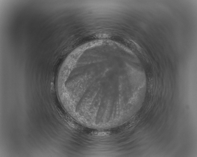 X0000074000553200609181811