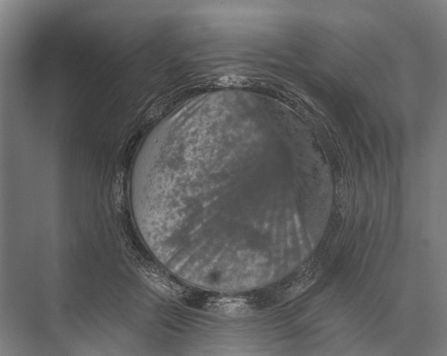 X0000074000554200609181811