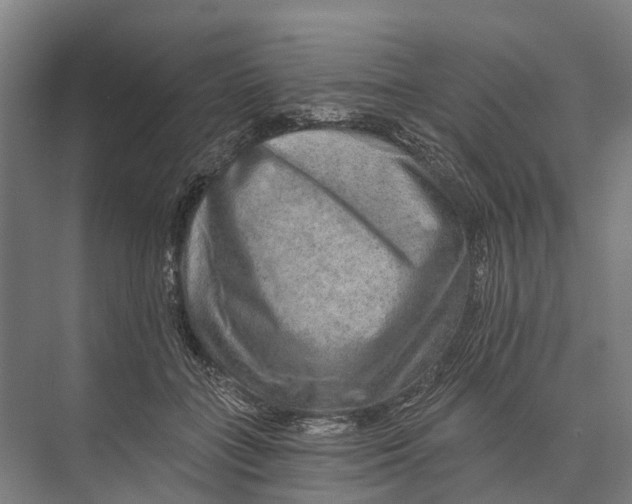 X0000074000555200609181811