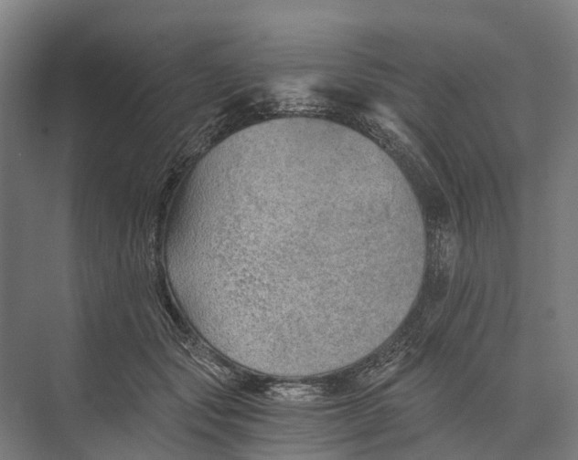 X0000074000557200609181811