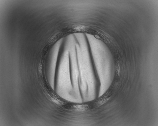 X0000074000558200609181811