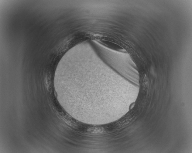 X0000074000559200609181811